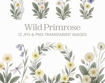 野生のプリムローズのクリップアートセット、透明な背景の植物PNGバンドル、ヴィンテージコテージコアの花、柔らかい黄色の花のグラフィック