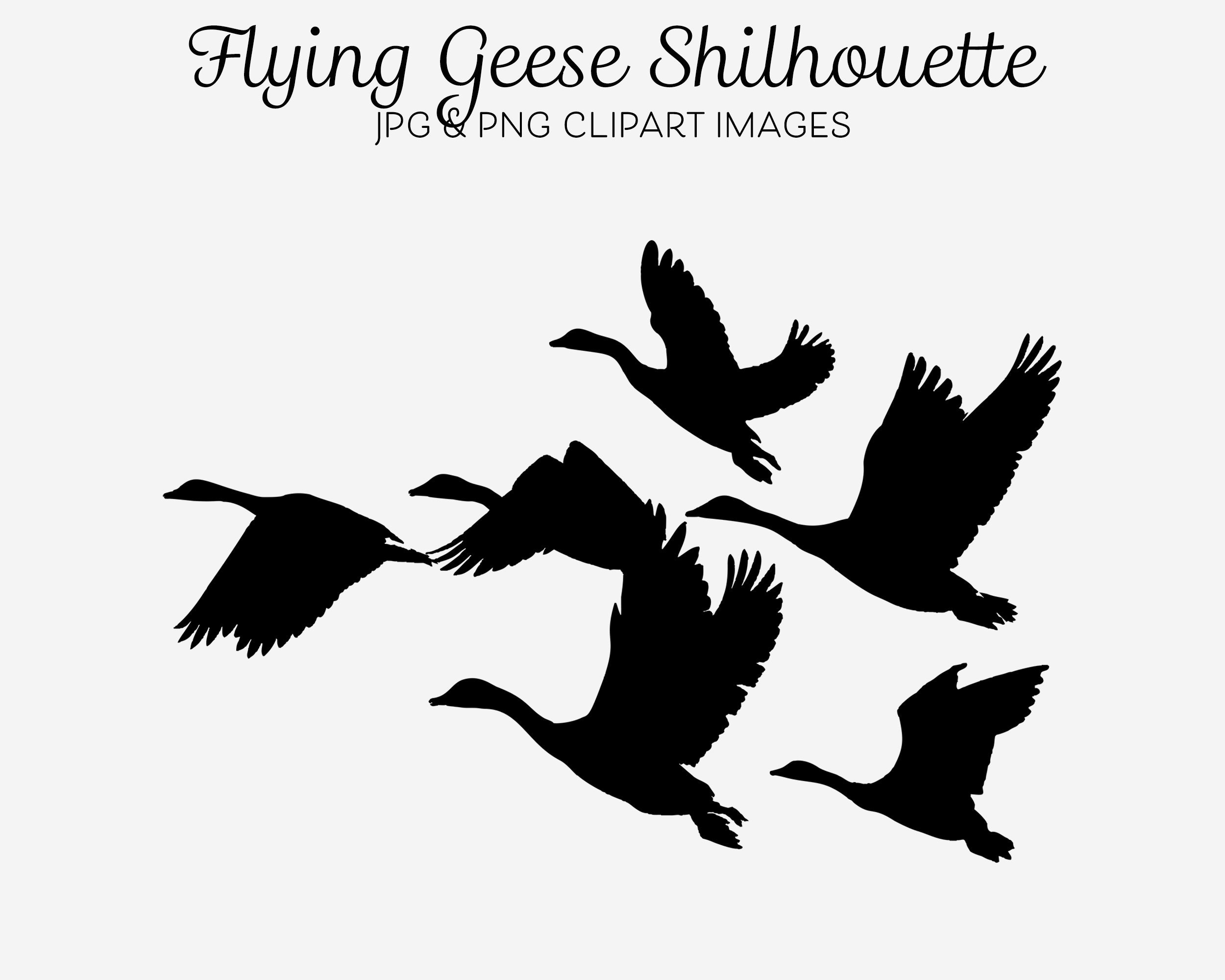 Flying Goose Clipart Black And White
