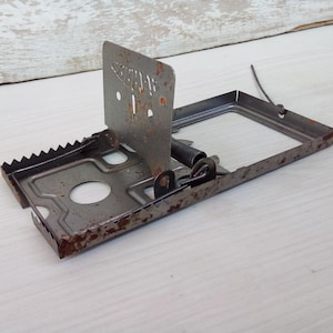 Metal Mouse Trap – Reusable Snap Trap for Rodent Control – Indoor & Outdoor Pest Solution – Fast, Humane Catcher