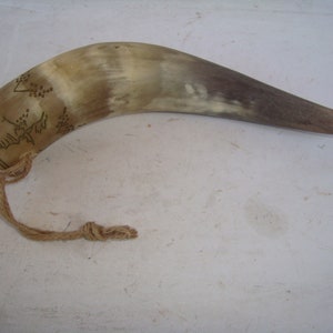 Horn, Real Animal Horn , Natural Finds, Natural Horn, Villa Decoration , Halloween Gift