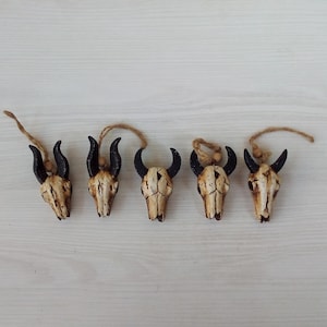 Set of 5 Mini Bull Skull Ornaments – Western Rustic Decor – Faux Bone Horned Skulls – Halloween Tree Decor – Cowboy, Boho, Gothic Accent