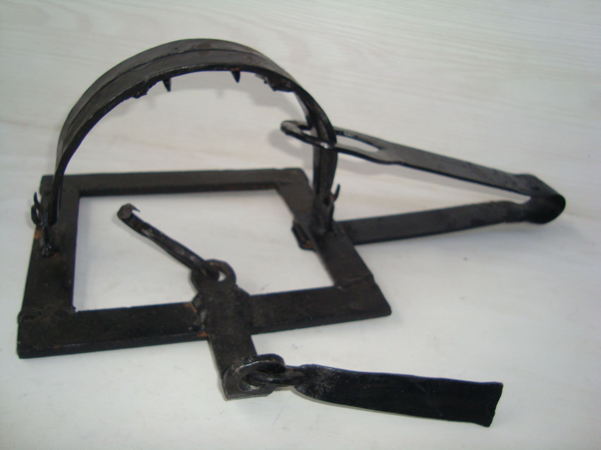 Dog Proof Traps for sale Only 4 left at 65