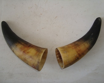 本物の雄羊の角：天然羊の角、アート装飾（20～35 cm） - Etsy 日本