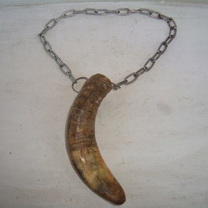 Horn, Real Animal Horn , Natural Finds, Natural Horn, Villa Decoration , Halloween Gift