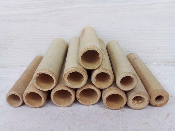 Bamboo Sticks , 12 Bamboo for Crafts,windchime Parts, Wind Chime Supplies,  Wooden Sticks, Reed Sticks, Green Bamboo 