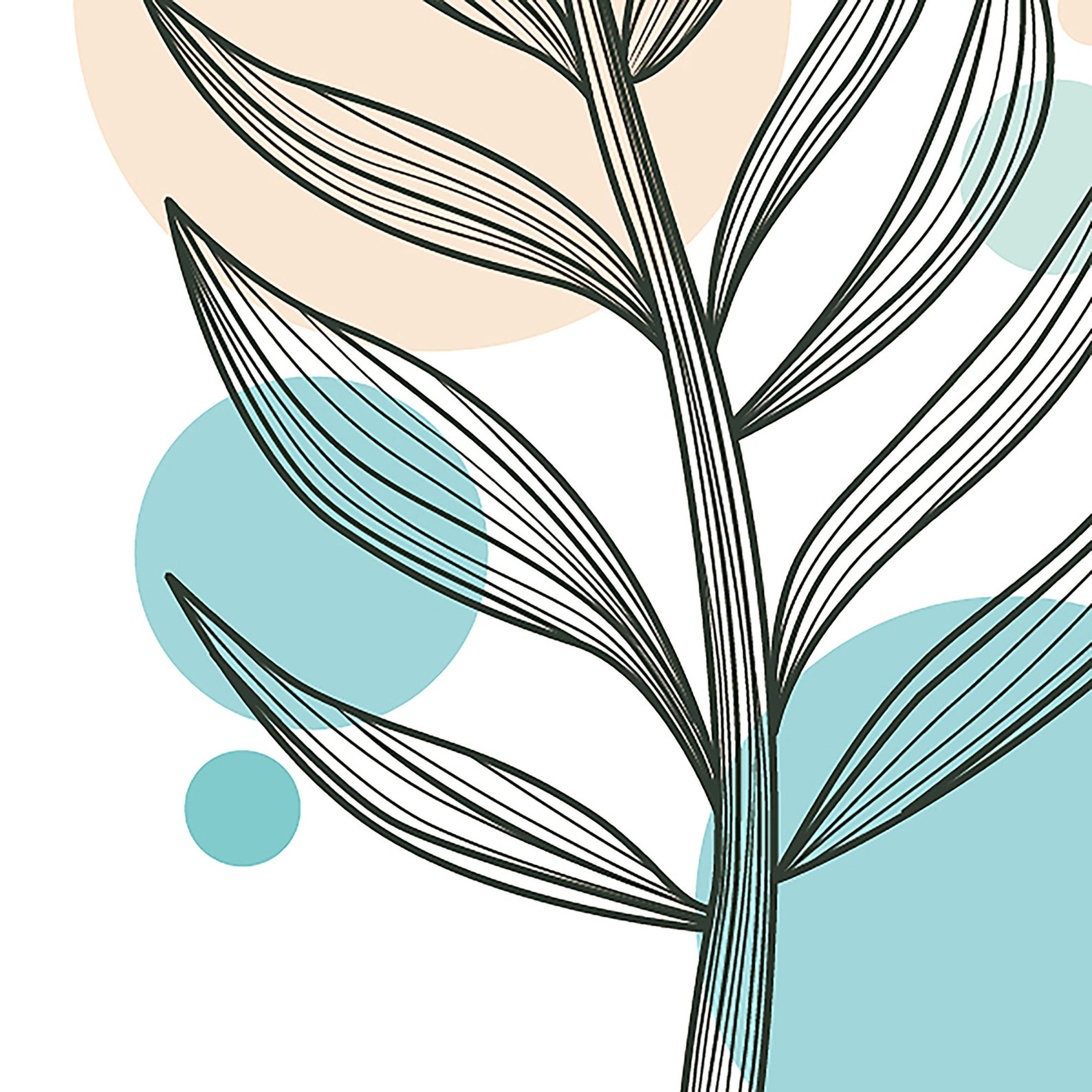 Plant Line Art / DrawingFlowers Printables / Plant Printable Etsy