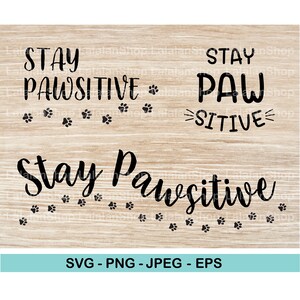 Stay pawsitive svg, png, jpeg, eps, cute fun quote, dog lover, cat lover, paw pet positive