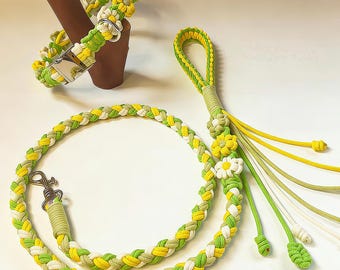 Beginner Level Macrame PDF Pattern for Dog Leash, Macrame Tutorial for Beginner, How to Macrame, Macrame PDF Instruction, Macrame Dog Leash