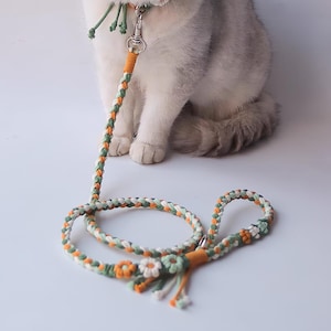 Pode incluir: Conjunto de trela e coleira para gatos trançados em verde, laranja e branco. A trela apresenta uma pega em laço e uma secção decorativa com pequenas flores brancas. A coleira tem um fecho prateado.