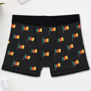 Novelty Cameroon Flag Boxer Briefs (Mens)