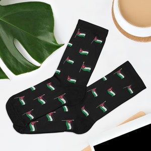 Novelty Jordan Flag Socks