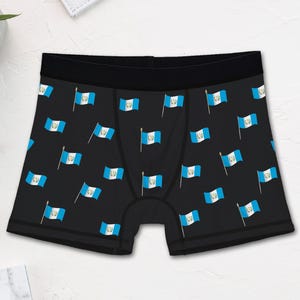 Novelty Guatemala Flag Boxer Briefs (Mens)