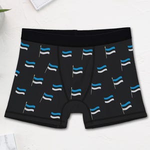 Novelty Estonia Flag Boxer Briefs (Mens)