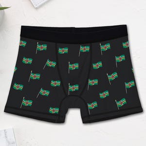 Novelty Dominica Flag Boxer Briefs (Mens)