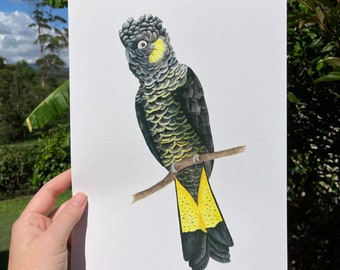 May include: A detailed watercolor painting of a black cockatoo perched on a branch. The bird has yellow accents on its head and tail feathers. The artwork is displayed on white paper, held against a backdrop of greenery and a blue sky.