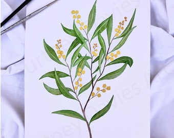 May include: Watercolor painting of a sprig of wattle with green leaves and yellow flowers. The artwork is on white paper, with two paintbrushes resting on the top left. The background is a white fabric.