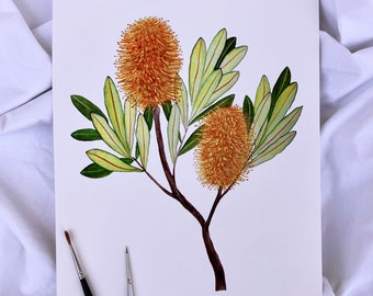 Coastal Banksia A4 fine art print, Australian Native Flora, Original Handpainted Watercolour Painting, Wall art print, Australiana
