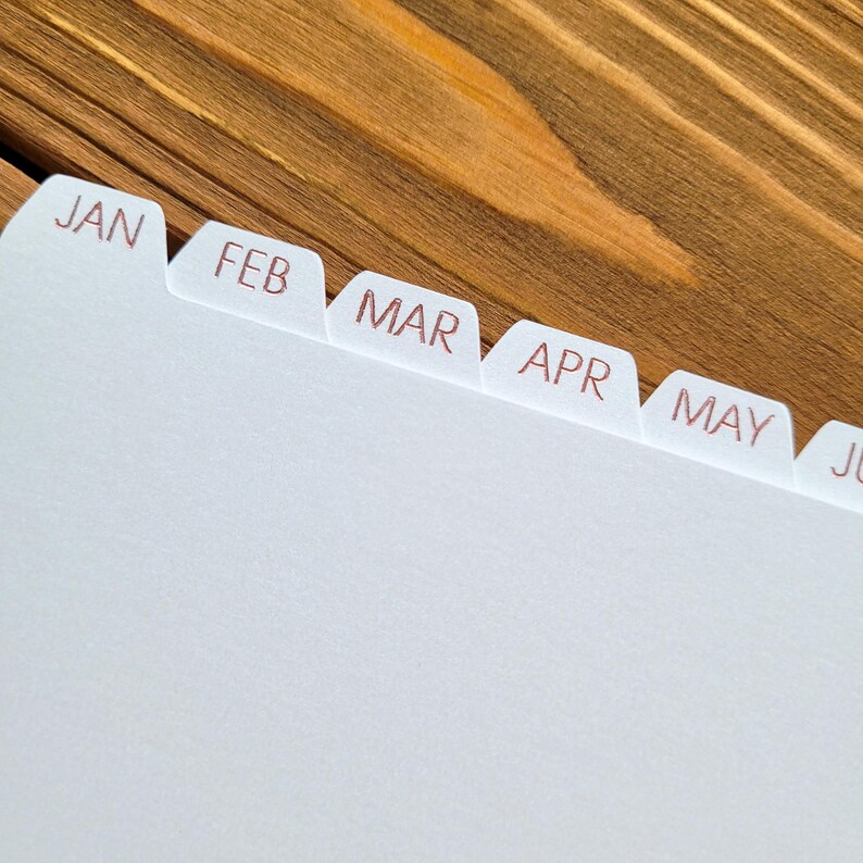 May include: A set of white paper index dividers featuring tabbed edges labeled with the months JAN, FEB, MAR, APR, MAY, and JU in a thin, reddish-brown font. The dividers are arranged in a sequence, each with a distinct tab for organization.