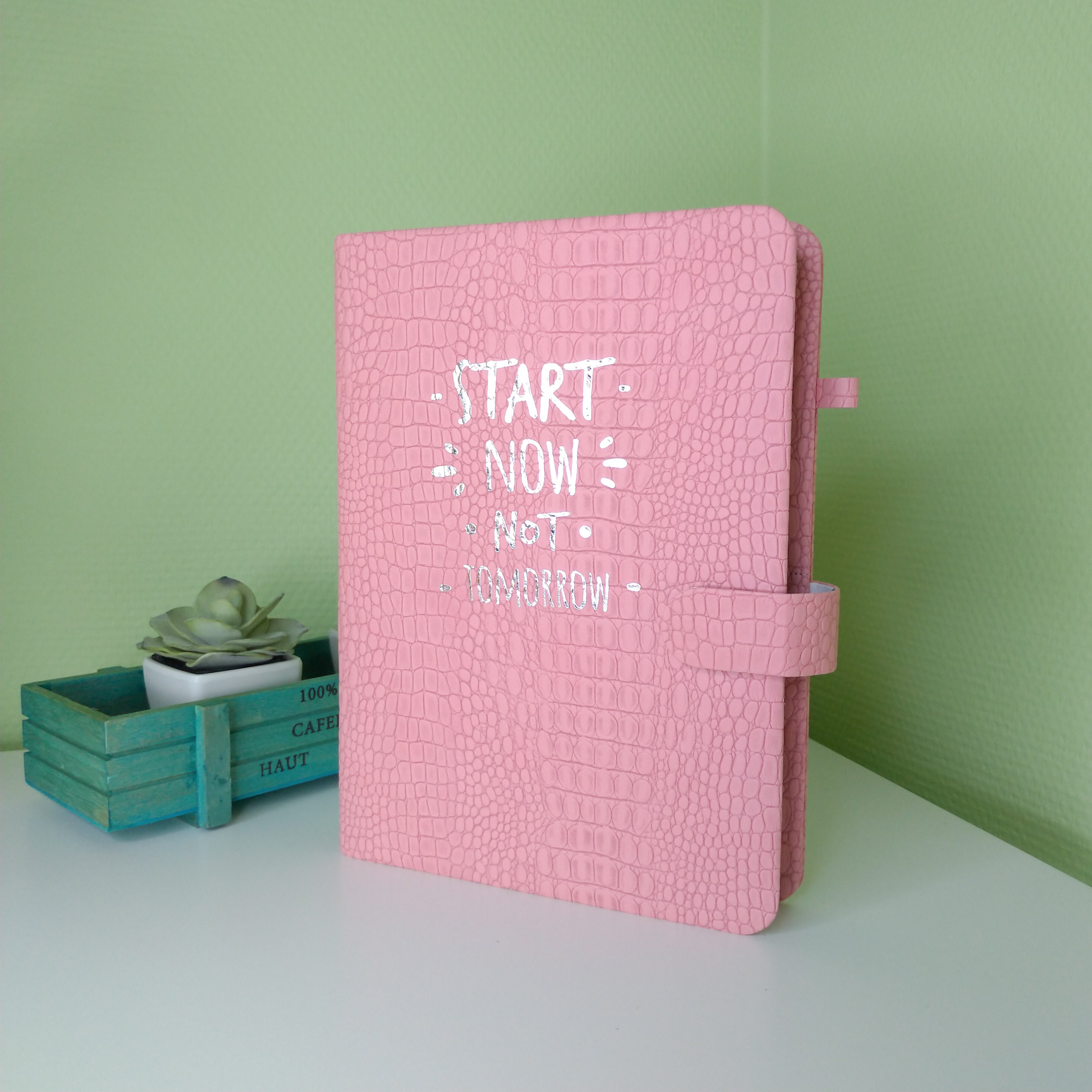 pink budget planner