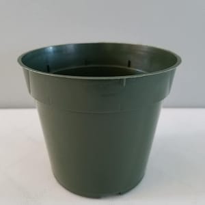 May include: A dark green plastic plant pot with drainage holes.