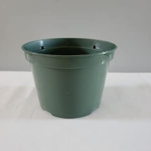 May include: A dark green plastic plant pot with drainage holes.