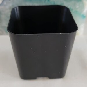 May include: A black plastic square plant pot with a smooth surface.