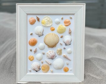 Può includere: Una cornice bianca con un passepartout bianco che contiene una collezione di conchiglie e piccoli pezzi di corallo. Le conchiglie sono disposte in modo casuale e sono di varie dimensioni e forme. La cornice è appoggiata su una superficie sabbiosa.