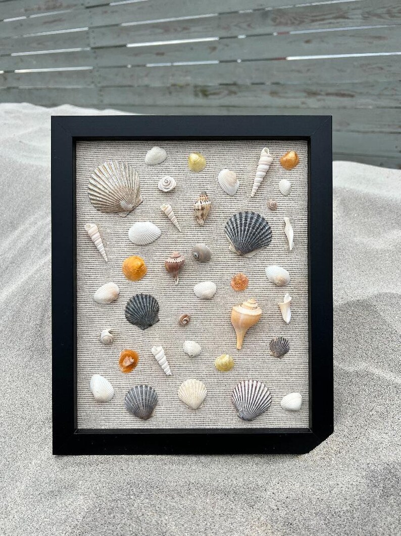 Pu&ograve; includere: Una scatola a ombre incorniciata in nero con uno sfondo in lino beige riempita di una variet&agrave; di conchiglie di varie forme, dimensioni e colori. Le conchiglie sono disposte in uno schema casuale.