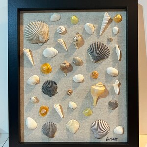 Pu&ograve; includere: Una collezione incorniciata di conchiglie di varie forme, dimensioni e colori, disposte su uno sfondo di lino beige. La cornice &egrave; nera e la firma "Kim Thibault" &egrave; visibile in basso a destra.