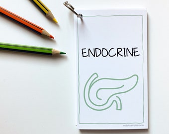 Endocrine medicine flashcards