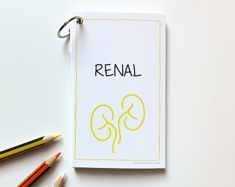 Renal medicine flashcards