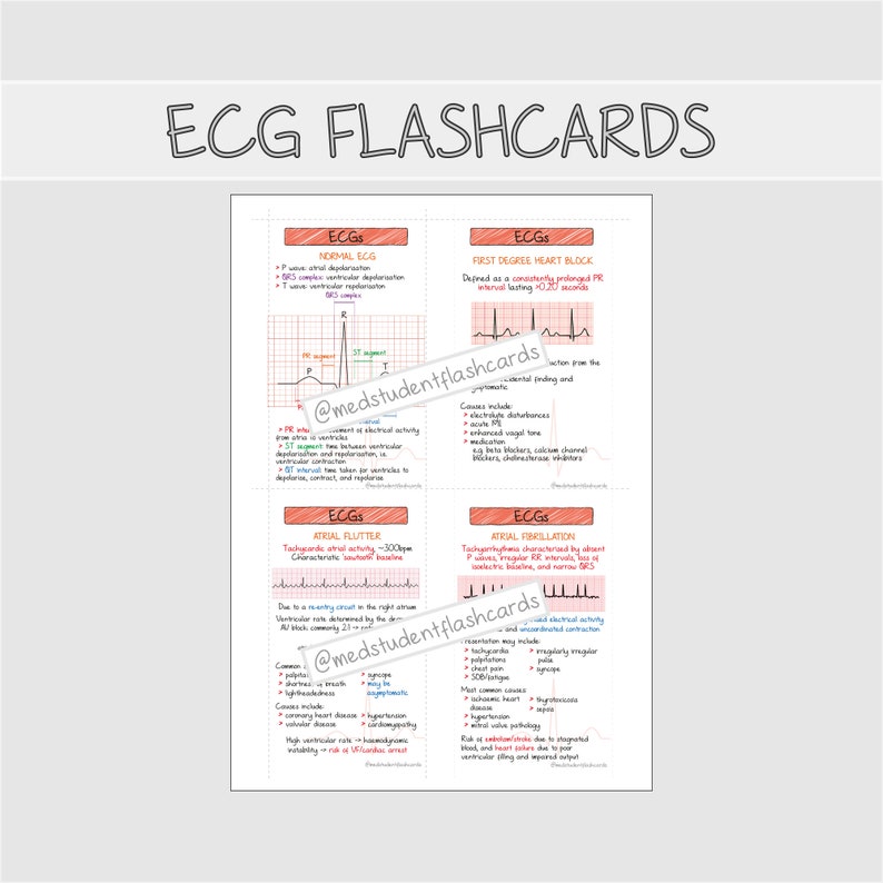 Medicine study flashcards bundle PDF image 10