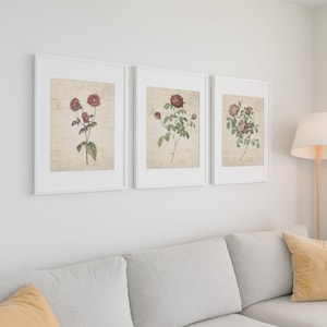 Three Vintage Floral Printable Wall Art PDF 10x12