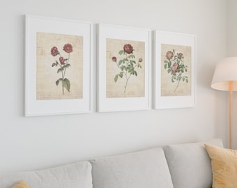 Three Vintage Floral Printable Wall Art PDF 10x12