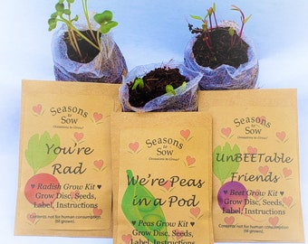 Valentine Card Grow Kits, great for kids classroom, garden education, coworker treats, party favors, memorable gifts, fun craft