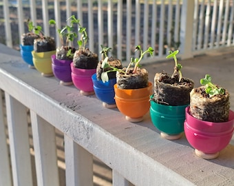 Easter Grow Kits, Plastic Egg Stuffers, great for kids, egg hunts, Easter basket fillers, educational, fun, memorable