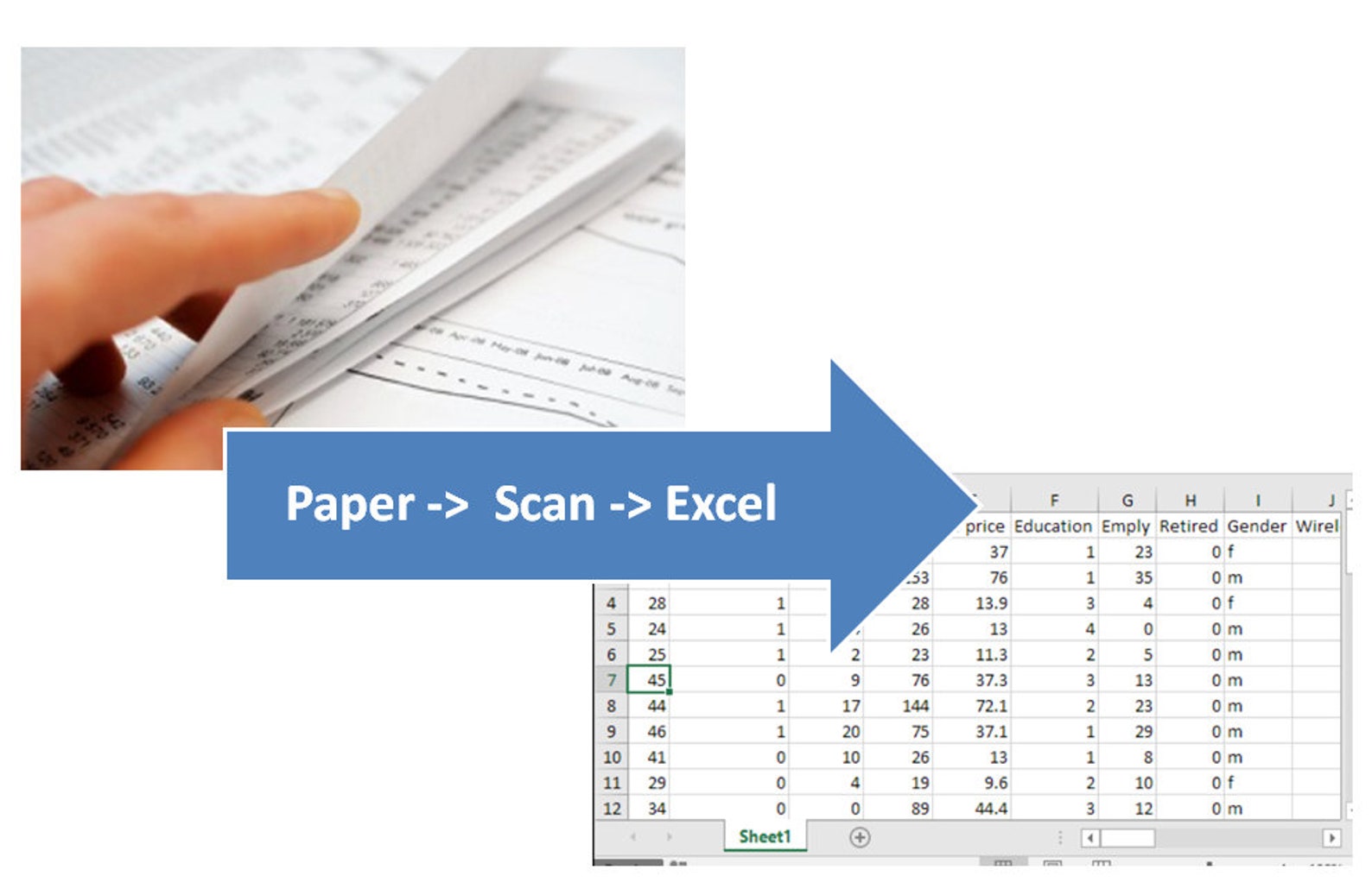 Your SCANNED Documents in EXCEL Sheet. PDF Converter to Excel Etsy