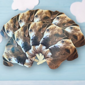 Recortes faciales, suministros de cumpleaños para mascotas Cara en un palo para fiesta, Accesorio de despedida de soltera, Recorte de cara, Regalos fotográficos personalizados