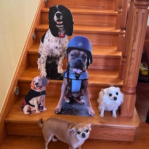 Lifesize cut out, Pet cardboard cutouts, wedding favor, standup