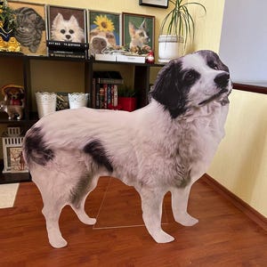 Recortes de cartón de tamaño natural para mascotas, recuerdos de boda.