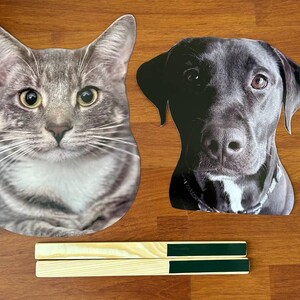 Custom Face Mask on a Stick, Birthday Party Prop image 11