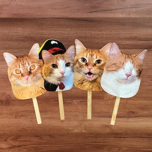 Cara en un palo, Cara de mascota en un palo, Accesorio de fotomatón con cabeza personalizada, Recorte de gato, Gato para boda, Recorte de cabeza de mascota, Accesorios para fotomatón