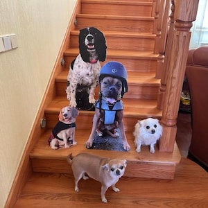 Lifesize cut out, Pet cardboard cutouts, wedding favor