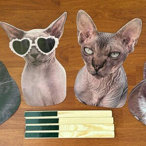 May include: Four different cat head cutouts, each with a unique expression. The cat on the left is black with green eyes. The cat in the top middle is a hairless cat wearing white heart-shaped sunglasses. The cat on the right is a tabby cat with brown and white fur. The cat in the bottom middle is a hairless cat with a serious expression.
