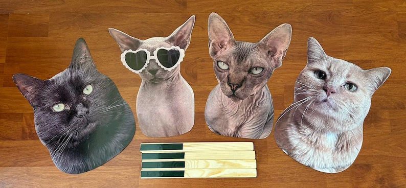 May include: Four different cat head cutouts, each with a unique expression. The cat on the left is black with green eyes. The cat in the top middle is a hairless cat wearing white heart-shaped sunglasses. The cat on the right is a tabby cat with brown and white fur. The cat in the bottom middle is a hairless cat with a serious expression.