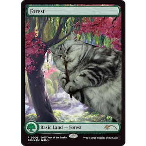 Personalized Pet Magic the Gathering Foil Land
