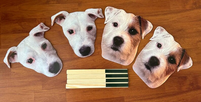 Custom Face Mask on a Stick, Birthday Party Prop image 10