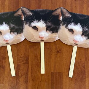 Face on a stick, Cat Wedding, Wedding favors, Wedding Photo Booth Props, Face on a stick, Custom Head Photobooth prop, pet head cutout image 20