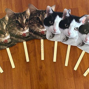 Face on a stick, Cat Wedding, Wedding favors, Wedding Photo Booth Props, Face on a stick, Custom Head Photobooth prop, pet head cutout image 17