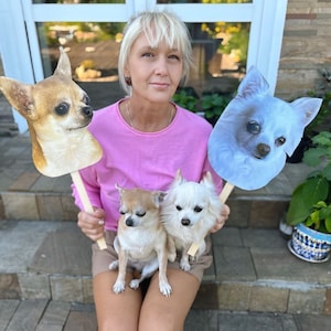 May include: A woman is holding two small white dogs and two cardboard cutouts of chihuahua dogs. One cutout is brown and white, and the other is light blue. The woman is wearing a pink shirt and brown shorts.